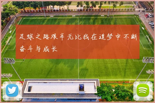 足球之路艰辛无比我在追梦中不断奋斗与成长