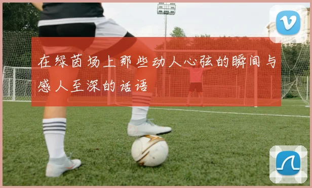在绿茵场上那些动人心弦的瞬间与感人至深的话语