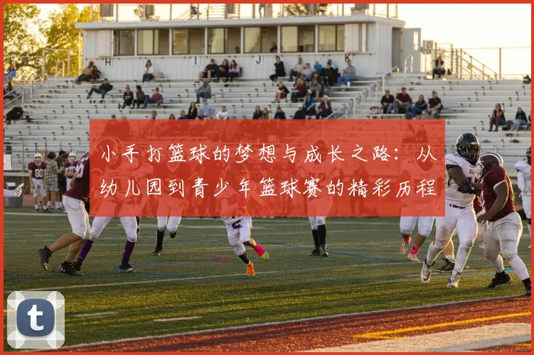 小手打篮球的梦想与成长之路：从幼儿园到青少年篮球赛的精彩历程