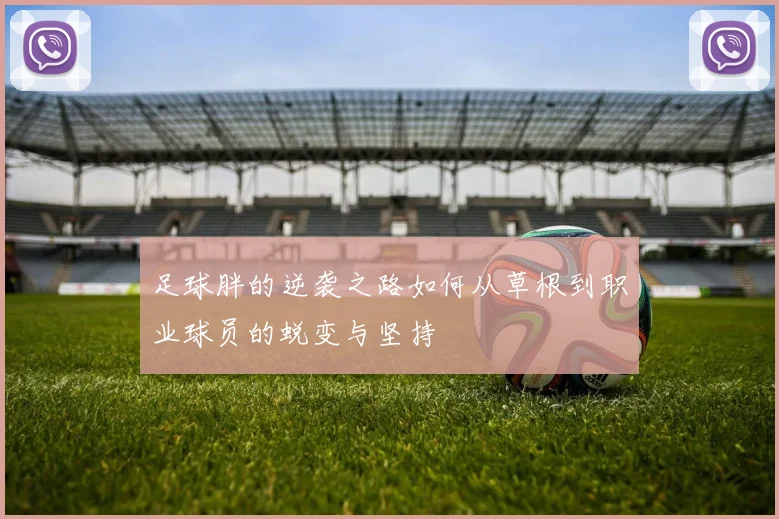 足球胖的逆袭之路如何从草根到职业球员的蜕变与坚持